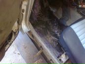 Ігор Ісак фотография #23 (источник - https://vk.com/id9426320)