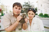 Фотография  