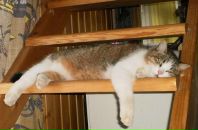 Фотография Тумановой Елены