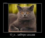 Фотография Ивко Станислава