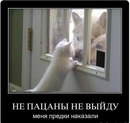 Андрій Яцків фотография #7 (источник - https://vk.com/id147647745)
