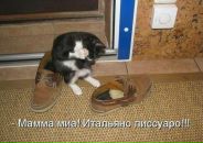 Катя Степаненко фотография #39 (источник - https://vk.com/id815359)