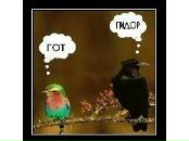 Міша Козак фотография #44 (источник - https://vk.com/id16115853)