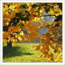 Фотография Смирновой Надежды