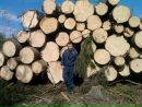 Фотография Иванова Антона