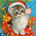 Олександра Шимків фотография #25 (источник - https://vk.com/id155178452)