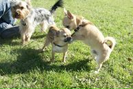 Наталья Робина фотография #28 (источник - https://vk.com/id57866)