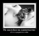 Віталій Коваль фотография #41 (источник - https://vk.com/id33732618)