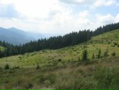 Діма Ардiлан фотография #24 (источник - https://vk.com/id39617581)