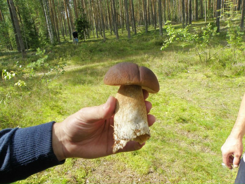 №8, Сергей Санжара, Санкт-Петербург, Россия №8, Сергей Санжара, Санкт-Петербург, Россия