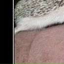 Олексій Марчук фотография #41 (источник - https://vk.com/id58835957)