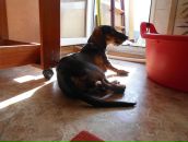 Фотография Шабловой Олиши