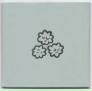 Фотография Плющёва Данила