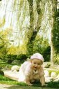Ліля Гарасимюк фотография #47 (источник - https://vk.com/id54499586)
