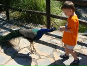 Ирина Щербинина фотография #36 (источник - https://vk.com/id866608)