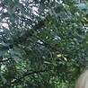 Вася Олійник фотография #22 (источник - https://vk.com/id92654673)