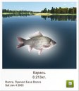 Андрій Вінярський фотография #15 (источник - https://vk.com/id160449728)