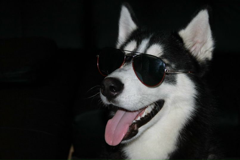 Sam Симакин фотография #32