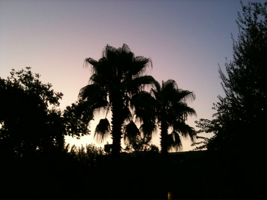 Евгений Лаковлев фотография #43