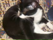 Фотография Палкина Сергея