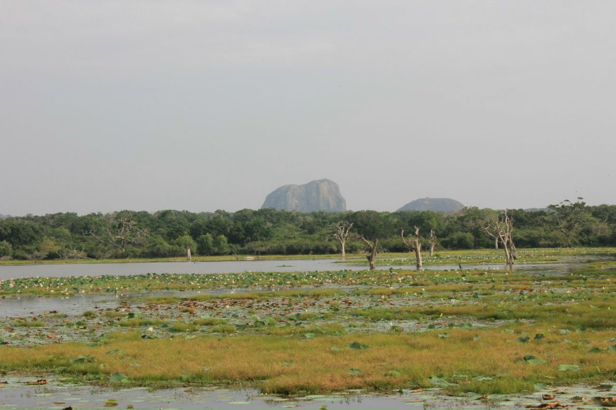 Кса На фотография #10