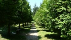 Иван Шапкин фотография #20 (источник - https://vk.com/id768574)