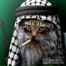 Андрій Андроник фотография #6 (источник - https://vk.com/id152284293)