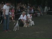 Васька Могіш фотография #37 (источник - https://vk.com/id27808011)