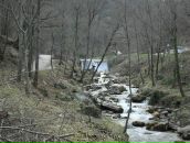 Галина Пугачова (Рогів) фотография #14 (источник - https://vk.com/id24688221)