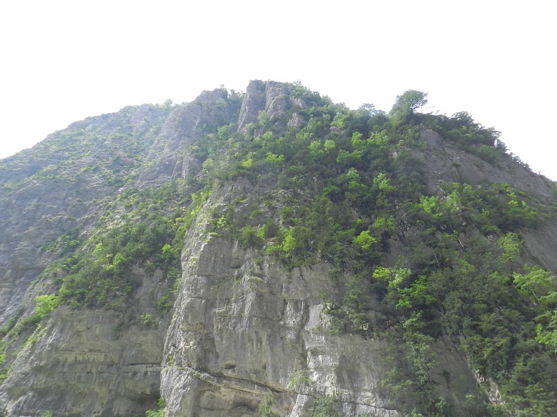 Дмитрий Толстых фотография #46