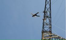 Фотография Вороненкова Дена