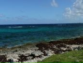 Ольга Шабаева фотография #36 (источник - https://vk.com/id2282910)