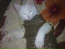 Василь Пиріг фотография #31 (источник - https://vk.com/id148518703)