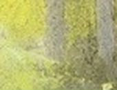 Валерий Караваев фотография #32 (источник - https://vk.com/id4304101)