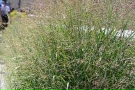 Lana Cr фотография #32 (источник - https://vk.com/id1015047)