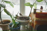 Фотография Шакирзяновой Альбины