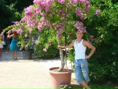 Славік Бужак фотография #14 (источник - https://vk.com/id53690927)