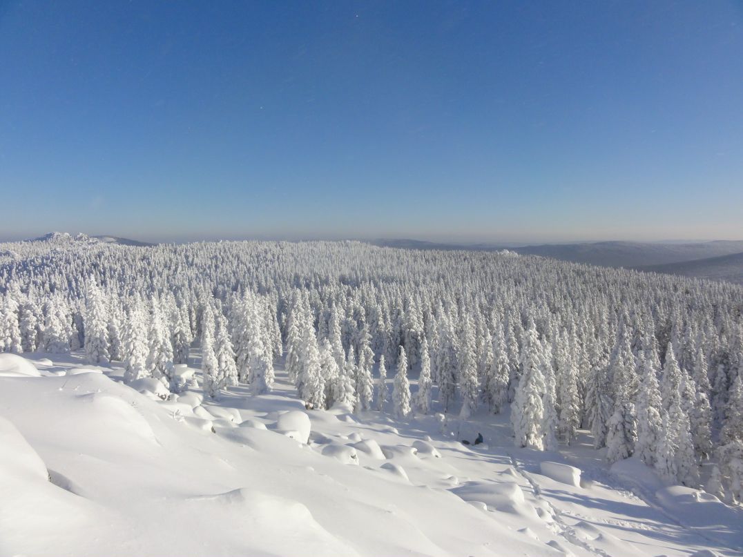 Дмитрий Трушков фотография #2