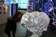 Фотография Бабешкиной Ксении