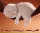 Галя Маєвська-Сараненко фотография #50 (источник - https://vk.com/id61365445)