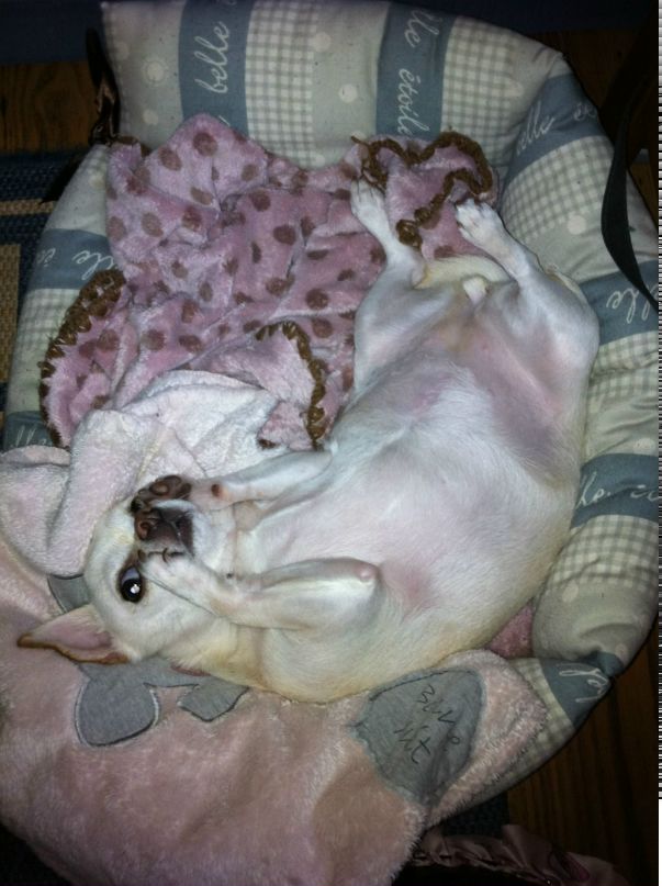 Игорь Сазонов фотография #19