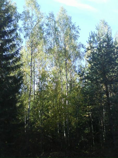 №6, Иван Малышев, 52 года, Ногинск №6, Иван Малышев, 52 года, Ногинск
