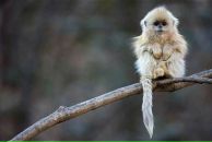 Фотография Спиридоновой Натальи