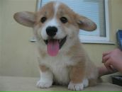 Фотография Ильенко Евгения