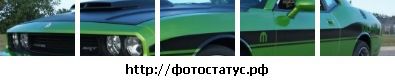 Діма Сахневич фотография #7 (источник - https://vk.com/id133123057)