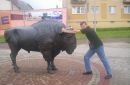 Ігор Колянко фотография #20 (источник - https://vk.com/id152935045)