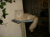 Фотография Кондаковой Юли