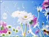 Фотография Важенцевой Валентины