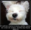 Міша Походило фотография #13 (источник - https://vk.com/id153967118)