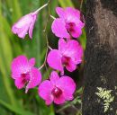 Лілюся Стефунько фотография #17 (источник - https://vk.com/id144981262)